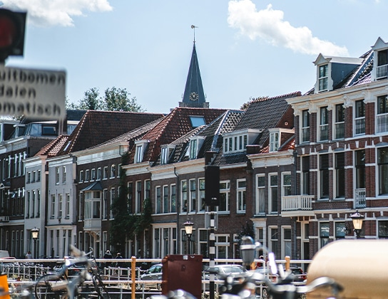 Onze rol in het geheel